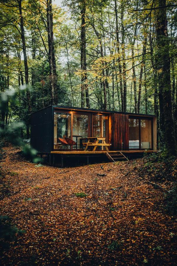 Villa Outscape L Refugios Puerto Fuy, Huilo Huilo Extérieur photo