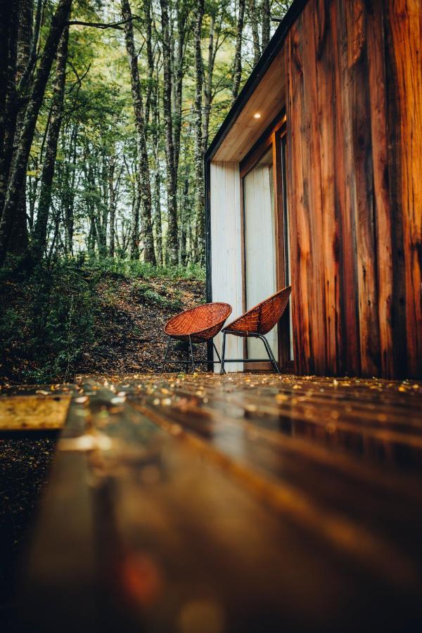 Villa Outscape L Refugios Puerto Fuy, Huilo Huilo Extérieur photo